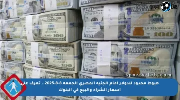هبوط محدود للدولار أمام الجنيه المصري الجمعة 8-8-2025.. تعرف على أسعار الشراء والبيع في البنوك